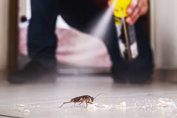 Best Wildlife Control Services  in William Paterson University Of New Jersey, NJ